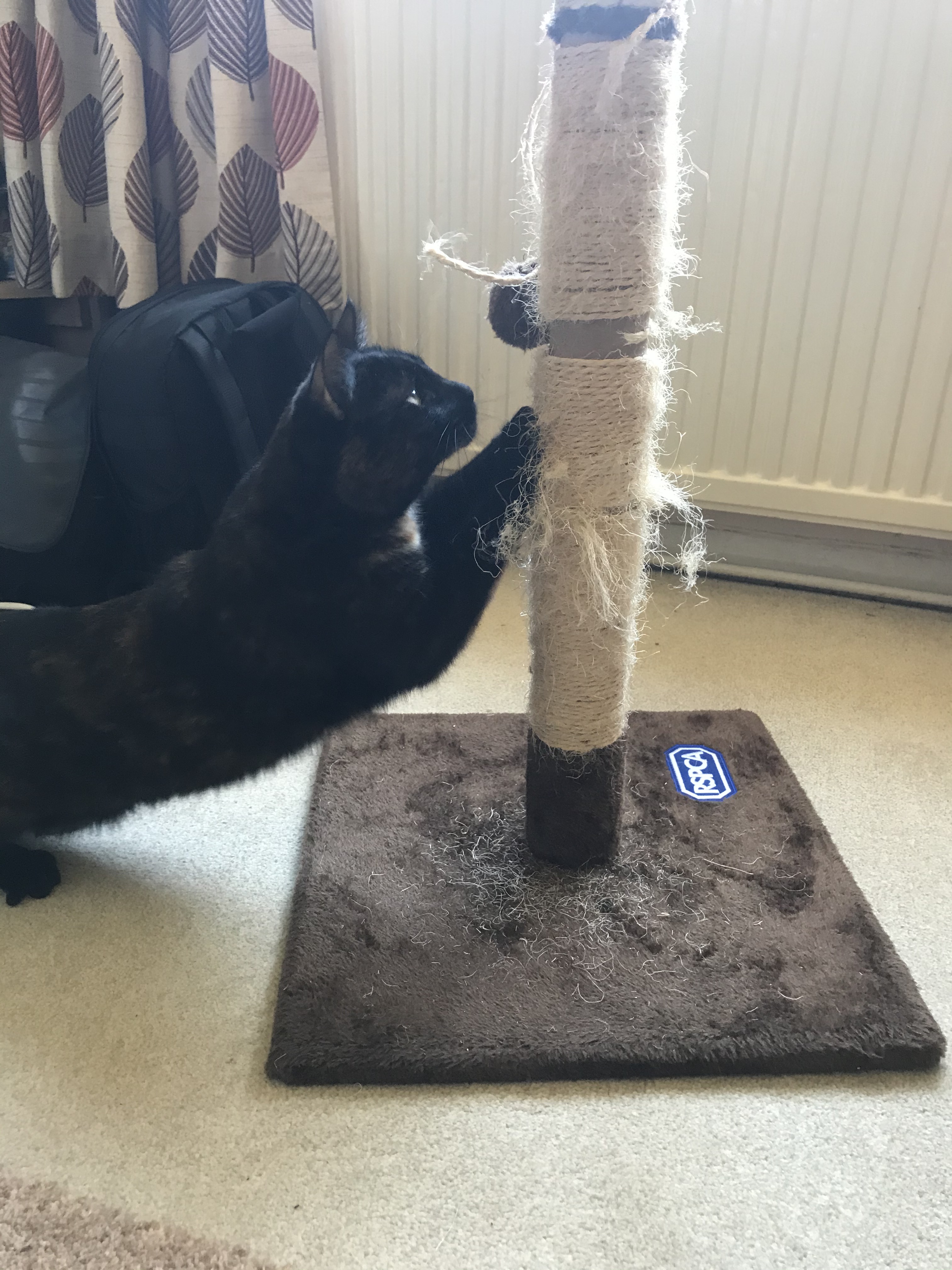 How to re rope your cat scratching post ropelocker blog